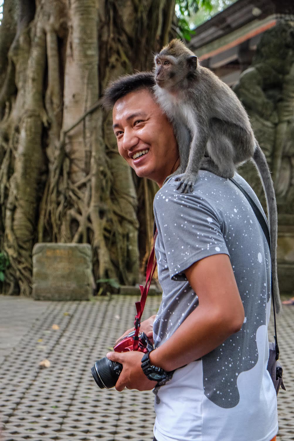 Bali. Świątynia małp w Ubud