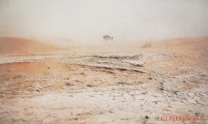 Fotoobraz z wystawy Sen o Saharze