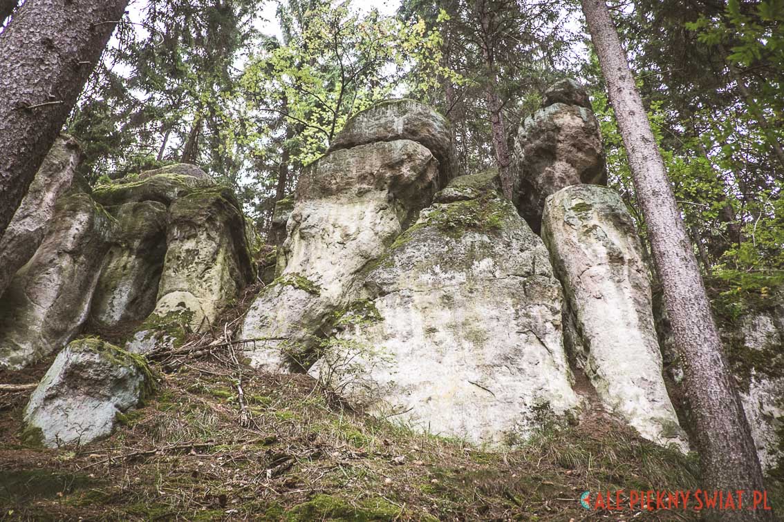 Rezerwat Głazy Krasnoludków na Dolnym Śląsku